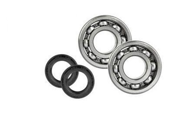 Crankshaft bearing kit (NTN) + spys 65 KTM 09->23.CBS61009