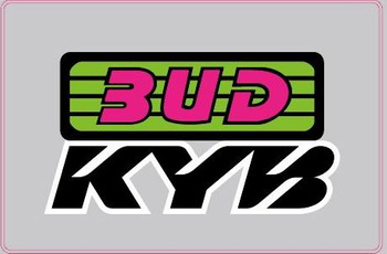 Déco de protection de fourches KYB/BUD (paire)