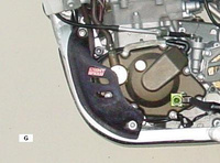 Protege carter carbone RMZ 250 07/09 gauche